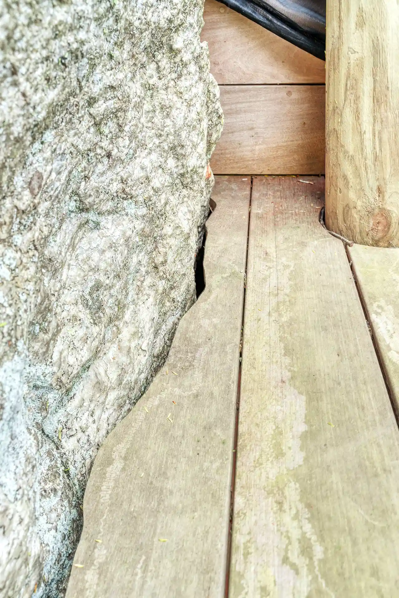 Hudson-Design-The-Sitooterie-02